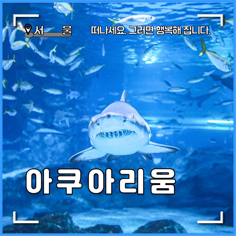 코엑스 아쿠아리움 최저가 예매 팁