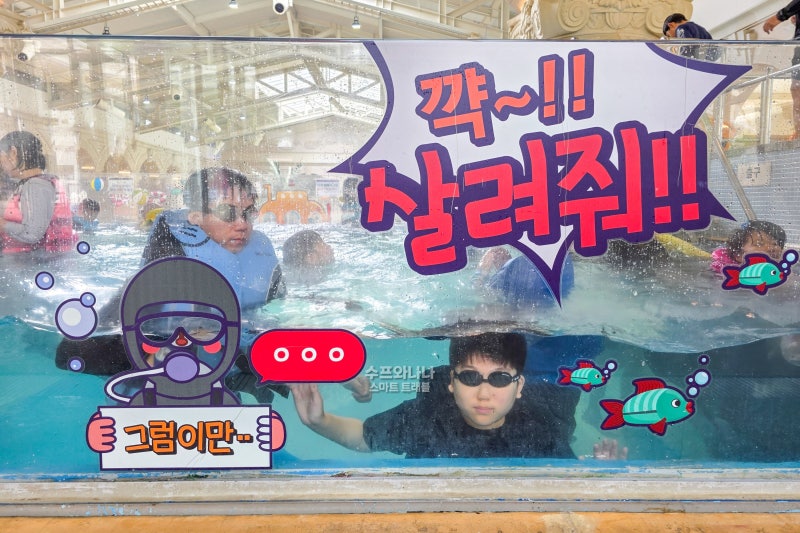 정선 하이원 워터파크 워터월드 준성수기 할인 팁부터 준비물까지 총정리