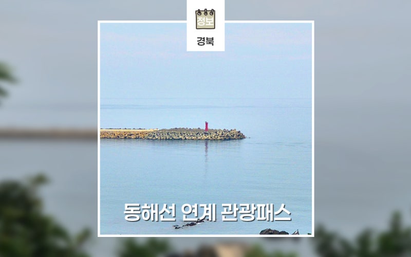 동해선 연계 관광패스 예약 방법 경북 여행 50% 할인 팁
