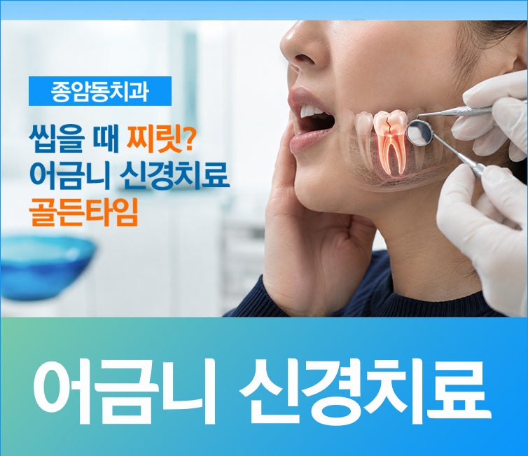 씹을 때 찌릿? 어금니 신경치료 골든타임
