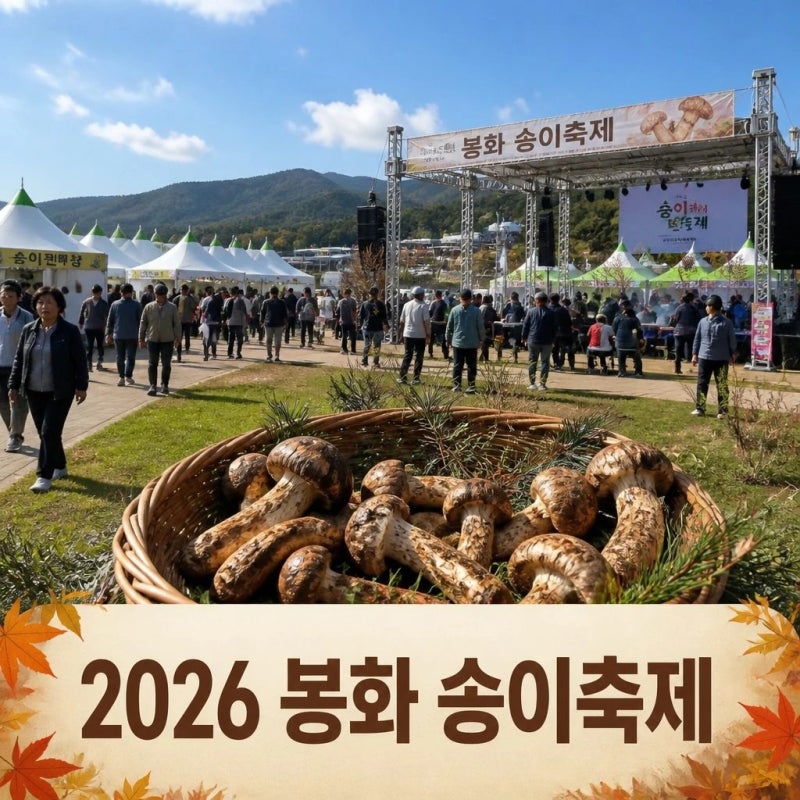 2026 봉화 송이축제 일정과 경북 가을여행 정보