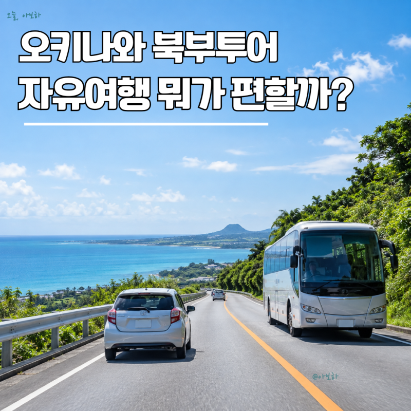 오키나와 북부투어 vs 자유여행, 츄라우미 갈 때 어떤 방법이 편할까