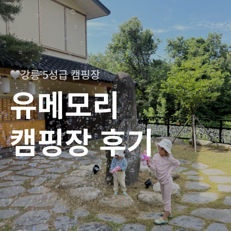 강릉 유메모리 캠핑장 물멍존 12 후기 (일본 료칸 감성, 온천, 웰컴 생맥주)
