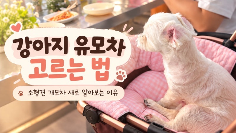 강아지 유모차 고르는 법｜소형견 개모차 새로 알아보는 이유