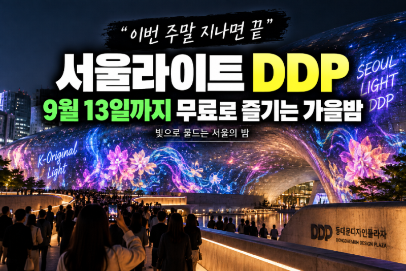 “이번 주말 지나면 끝” 서울라이트 DDP, 9월 13일까지 무료로 즐기는 가을밤
