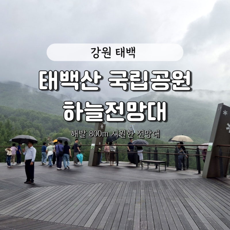 강원 태백 가볼만한곳- 태백산 국립공원 당골광장 '하늘전망대'