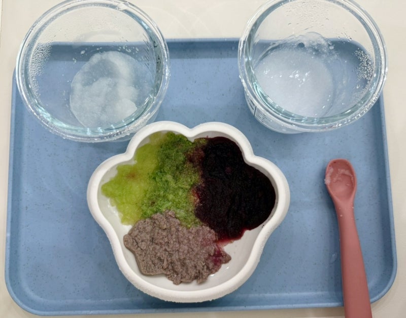 6개월 초기 이유식 식단 기록｜알레르기 테스트와 분유·이유식 스케줄