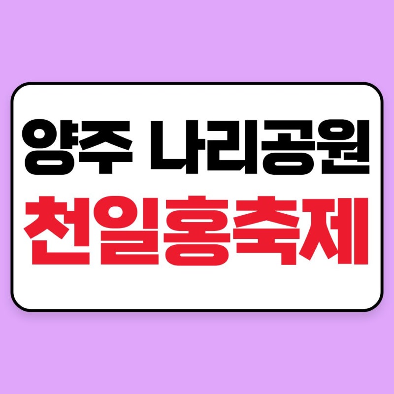 2026 양주 천일홍축제 일정 공개｜장소·입장료·주차비 총정리