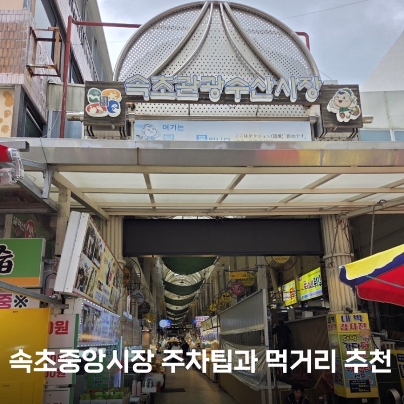 속초 중앙시장 주차 꿀팁과 꼭 사먹어야 할 먹거리 추천