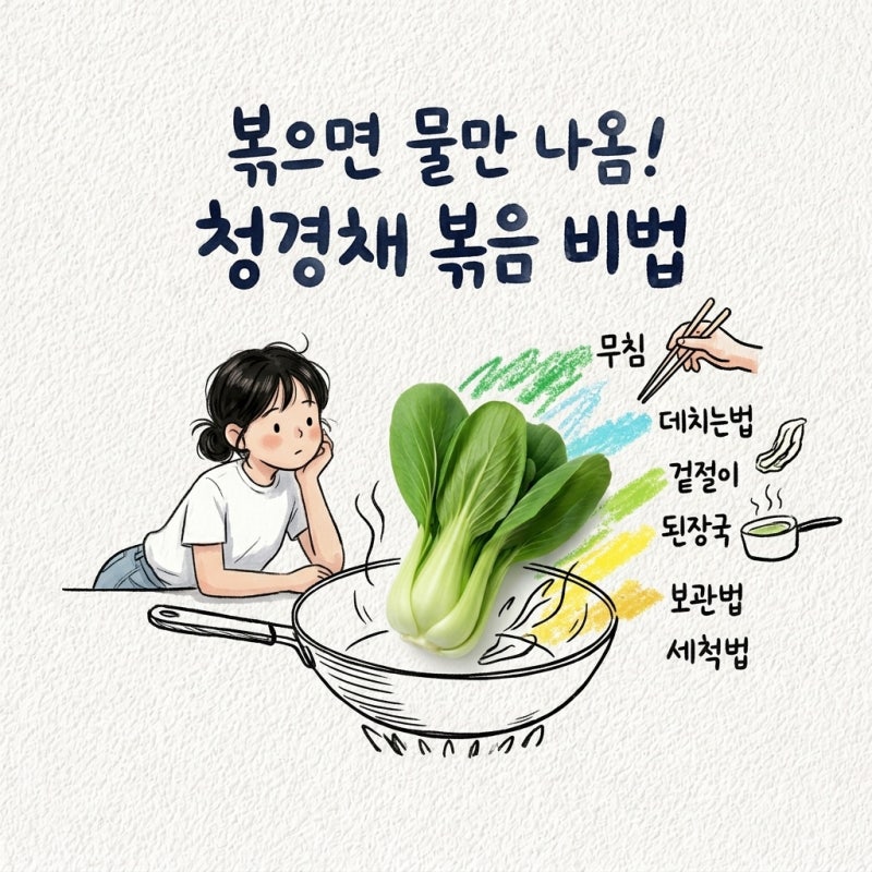 청경채 볶음 청경채 무침 청경채 데치는법 겉절이 된장국 보관법 세척법