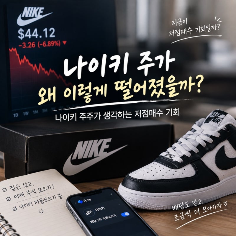 나이키 주가 왜 이렇게 떨어졌을까? 나이키 주주가 생각하는 오히로 저점매수 기회