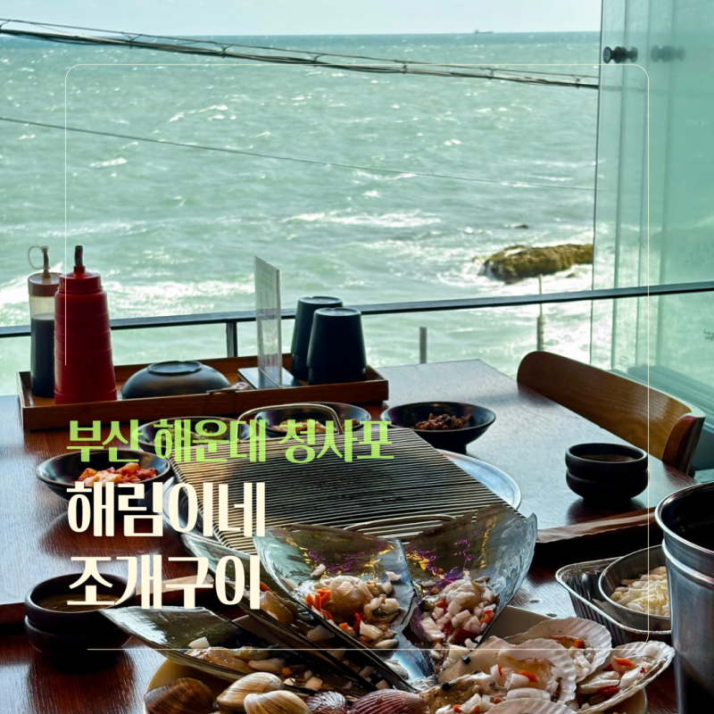 부산 해운대 청사포 해림이네 조개구이 바다뷰 감성 맛집 솔직후기