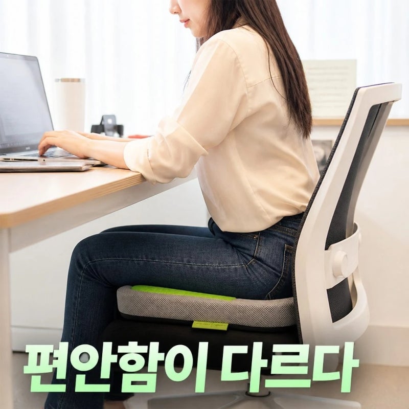 밸런스온 기능성 시그니처 시트 2개세트 치질 꼬리뼈 자세교정 무중력 방석 정보 정리