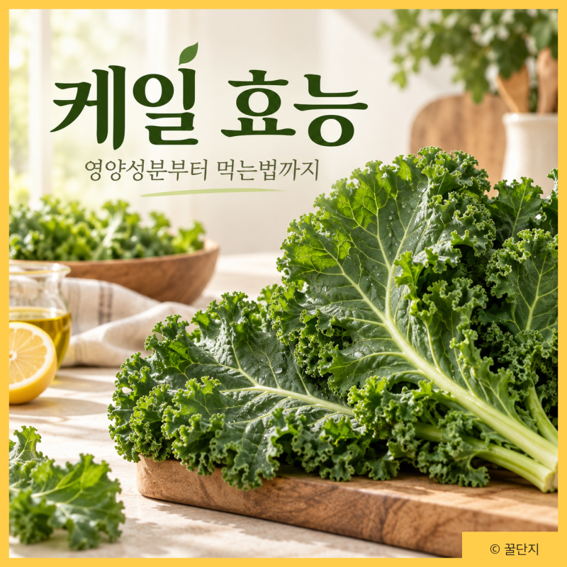 슈퍼푸드 케일 효능 영양성분 칼로리 먹는법 부작용