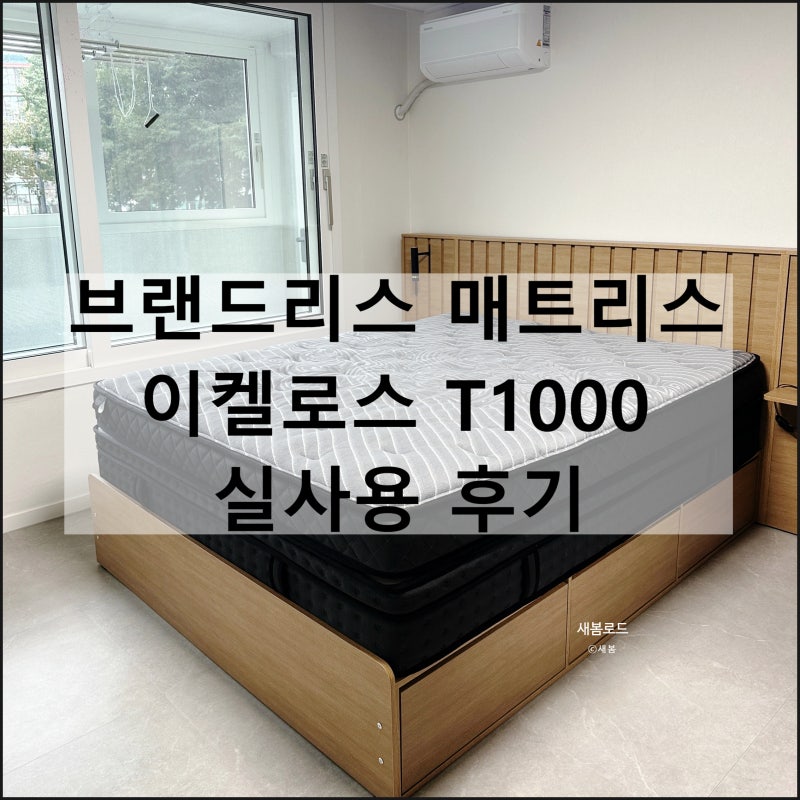 베스트슬립 브랜드리스 이켈로스 T1000 | 신혼집 가구 침대 매트리스 내돈내산 실사용 후기