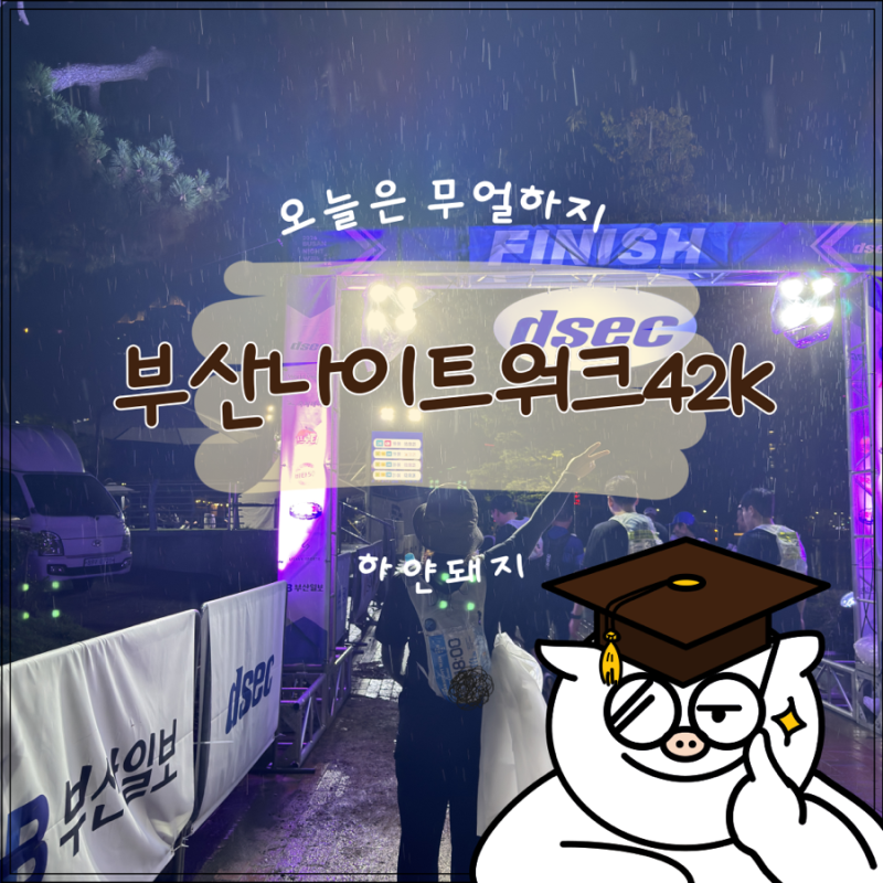 2026 부산나이트워크 42K with 디섹 후기(24km후기)