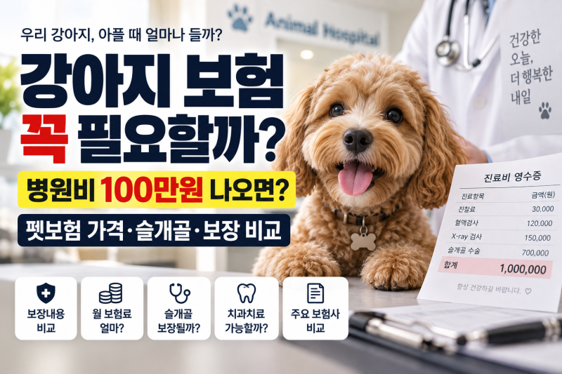 강아지 보험 꼭 필요할까? 펫보험 가격·보장내용·보험사 비교 총정리