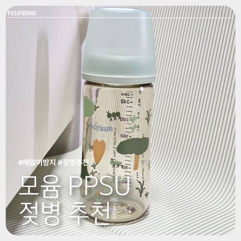 모윰젖병 모윰젖꼭지 호환 PPSU 배앓이방지 젖병 비교 추천