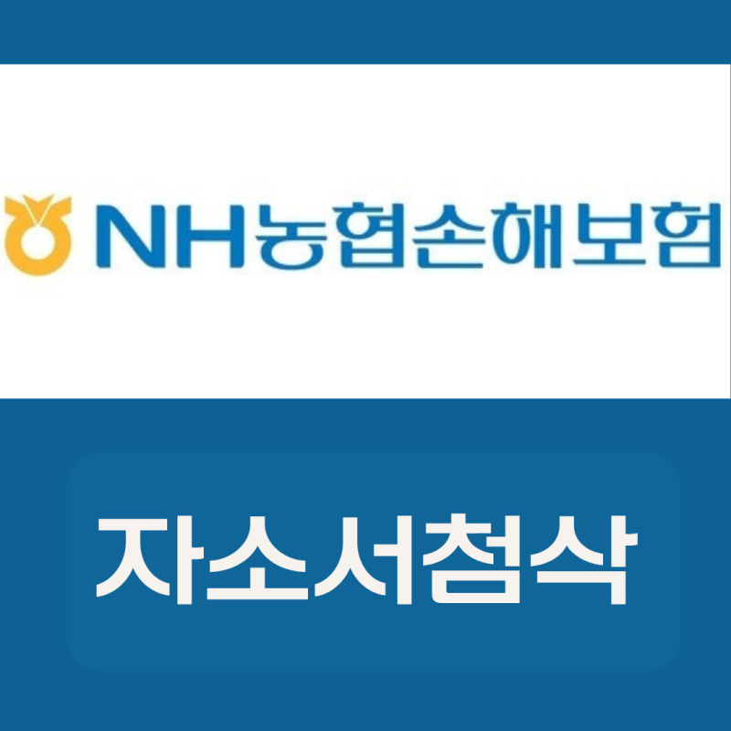 NH농협손해보험 자소서 첨삭 | 합격후기 2026