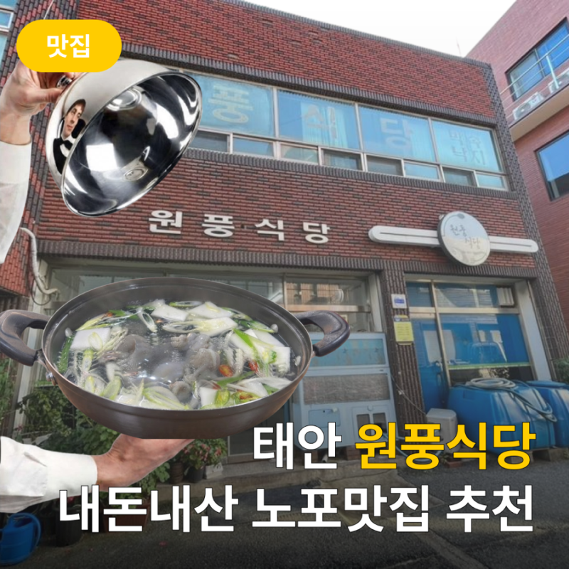 태안 노포 식당 추천 : 낙지요리가 맛있는 원풍식당