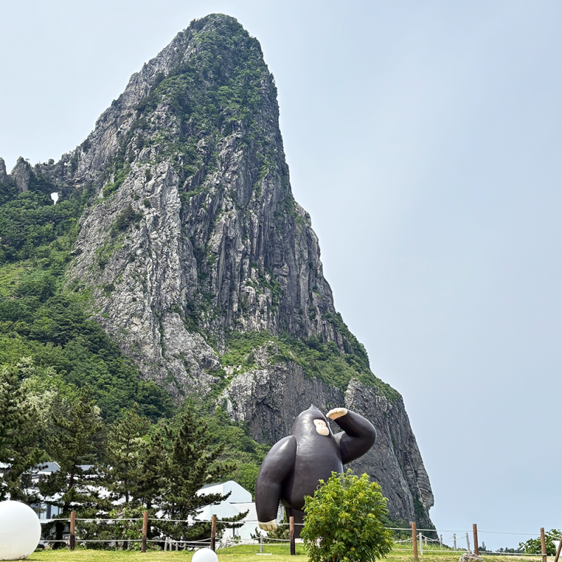 울릉도 패키지여행 2박3일 비용, 독도까지 포함된 일정 확인해보세요!