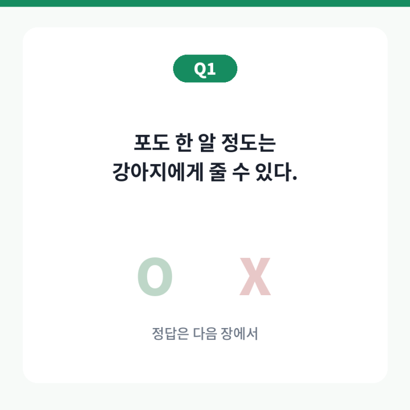 #1 강아지 슬개골 탈구 수술 비용, 2026년 얼마나 들까 (등급별 총정리)