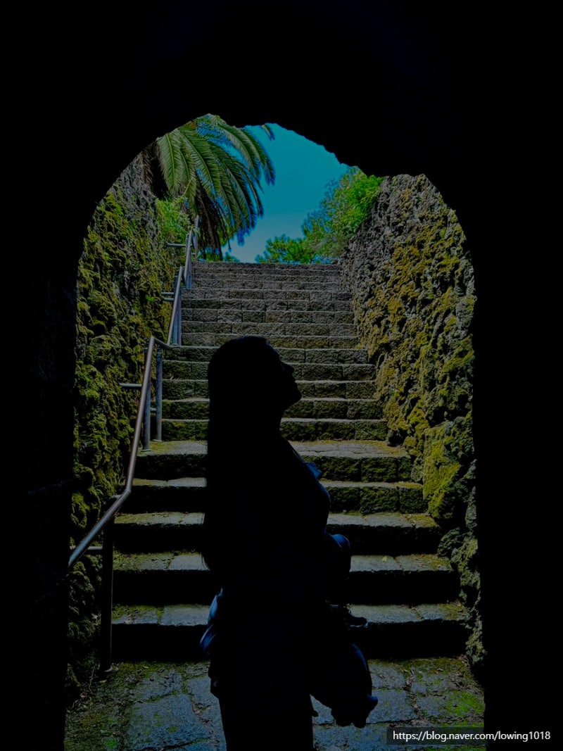 Things to Do in Jeju Hallim: Hallim Park & Hyeopjae Cave Photo Zones Perfect for Pictures