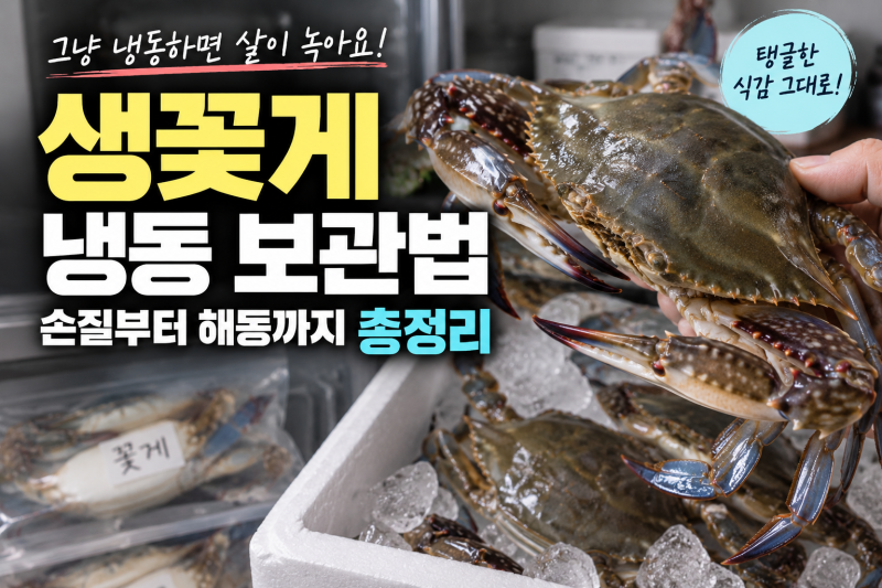 생꽃게 냉동 보관법 및 손질 팁: 살 빠짐 없이 오랫동안 신선하게 보존하는 방법