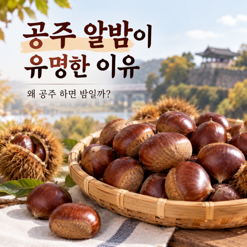 공주 알밤이 유명한 이유, 왜 공주 하면 밤일까?
