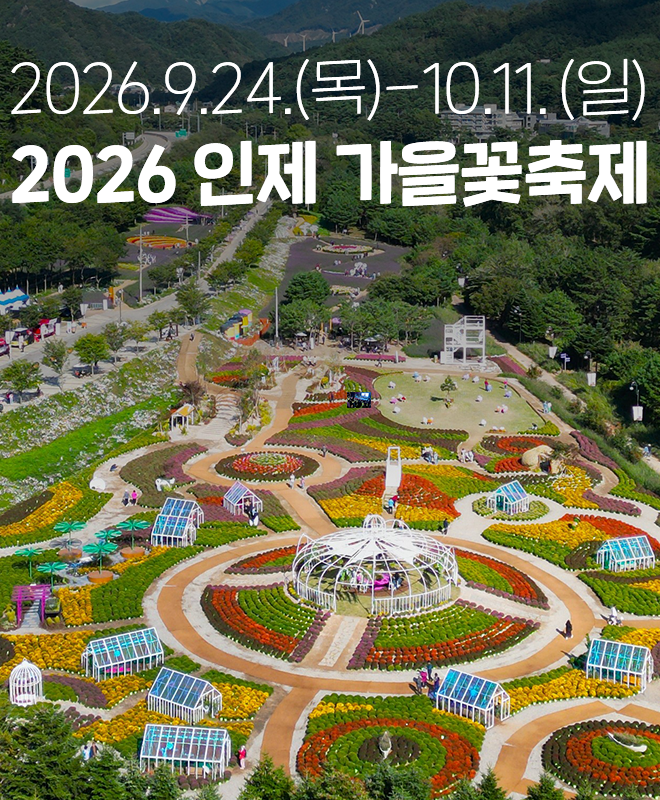[인제/축제] 형형색색 가을꽃과 시의 만남! '2026 인제 가을꽃축제' 일정·프로그램·1일 코스 ....