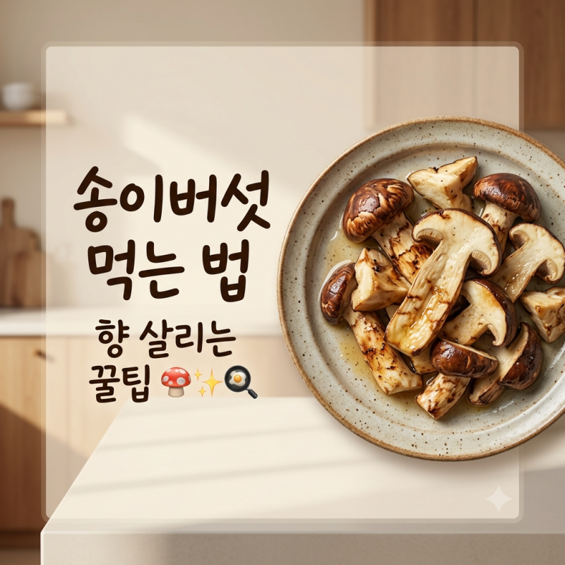송이버섯 먹는 법, 향 살리는 손질부터 굽기·먹는 방법 정리