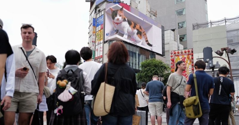 [도쿄 민박 규제] "관광객 소음·쓰레기 민원 폭발"… 도쿄 주요 23개 구, 공유숙박(에어비앤비....
