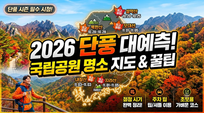 2026 단풍 절정 시기 총정리! 실패 없는 국립공원 단풍 명소 & 초보 등산 코스