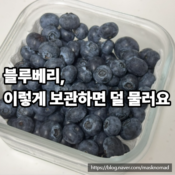 블루베리 보관법, 세척 후 물기 잡아 냉장보관하는 방법