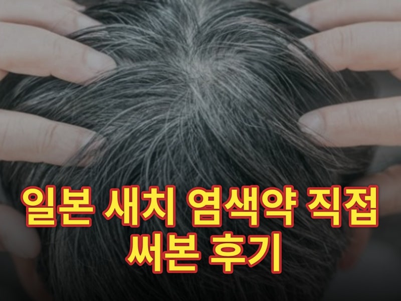 일본 새치 염색약 직접 써본 후기 | 돈키호테 염색약 고르는 법 (2026)
