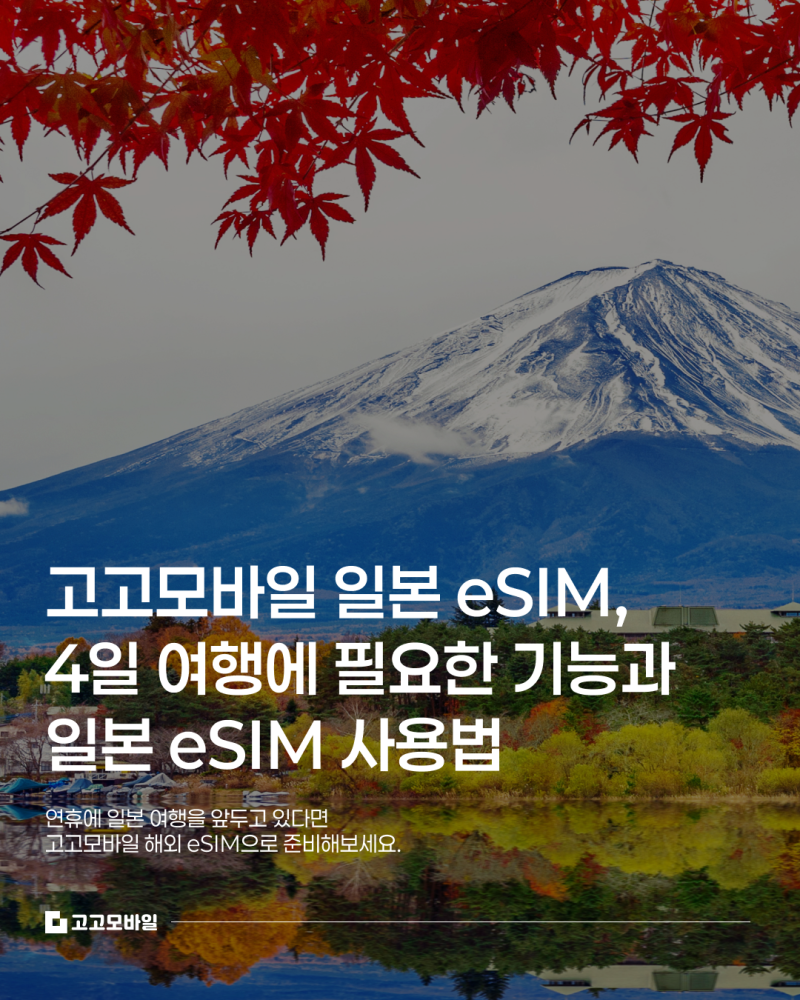 일본 이심 4일 사용법, 고고모바일 일본 이심 활용하기