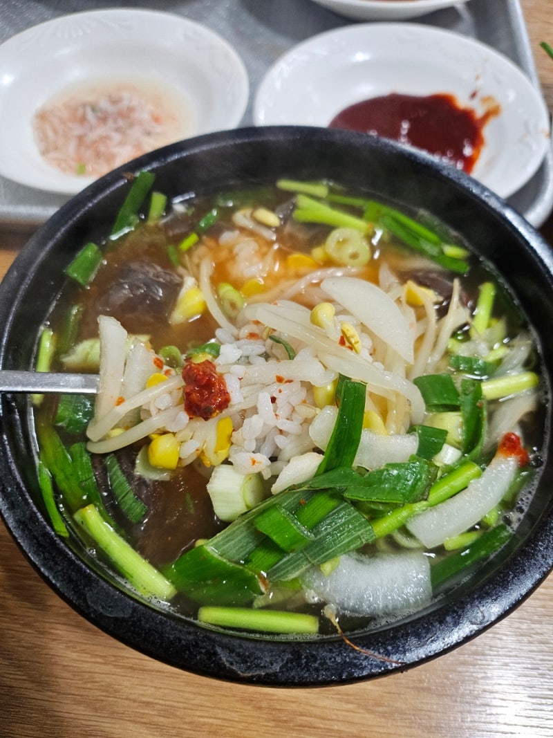 순천 웃장 국밥 맛집 괴목국밥 / 순대국밥 먹고 온 솔직후기
