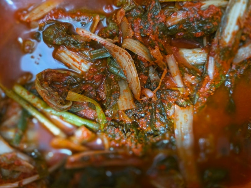 열심히 먹었는데도 열무김치가 줄지 않아 넘 익었을때 #열무김치 활용법
