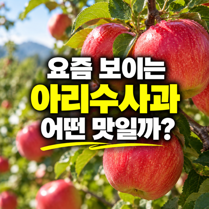 아리수사과 수확시기는 언제?｜맛·특징과 홍로사과 차이
