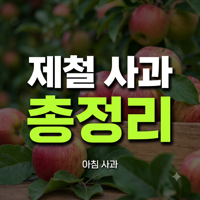 계절별 제철 사과 품종 총정리: 9월 햇사과 특징과 아침에 사과를 먹어야 하는 이유