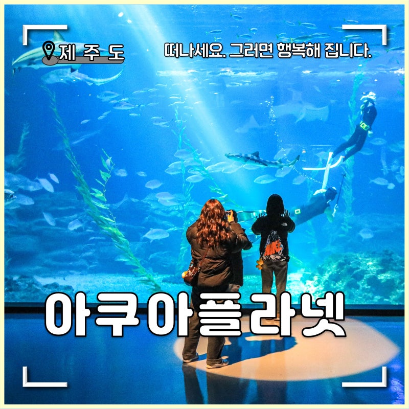 제주 아쿠아플라넷 최저가 예매 팁