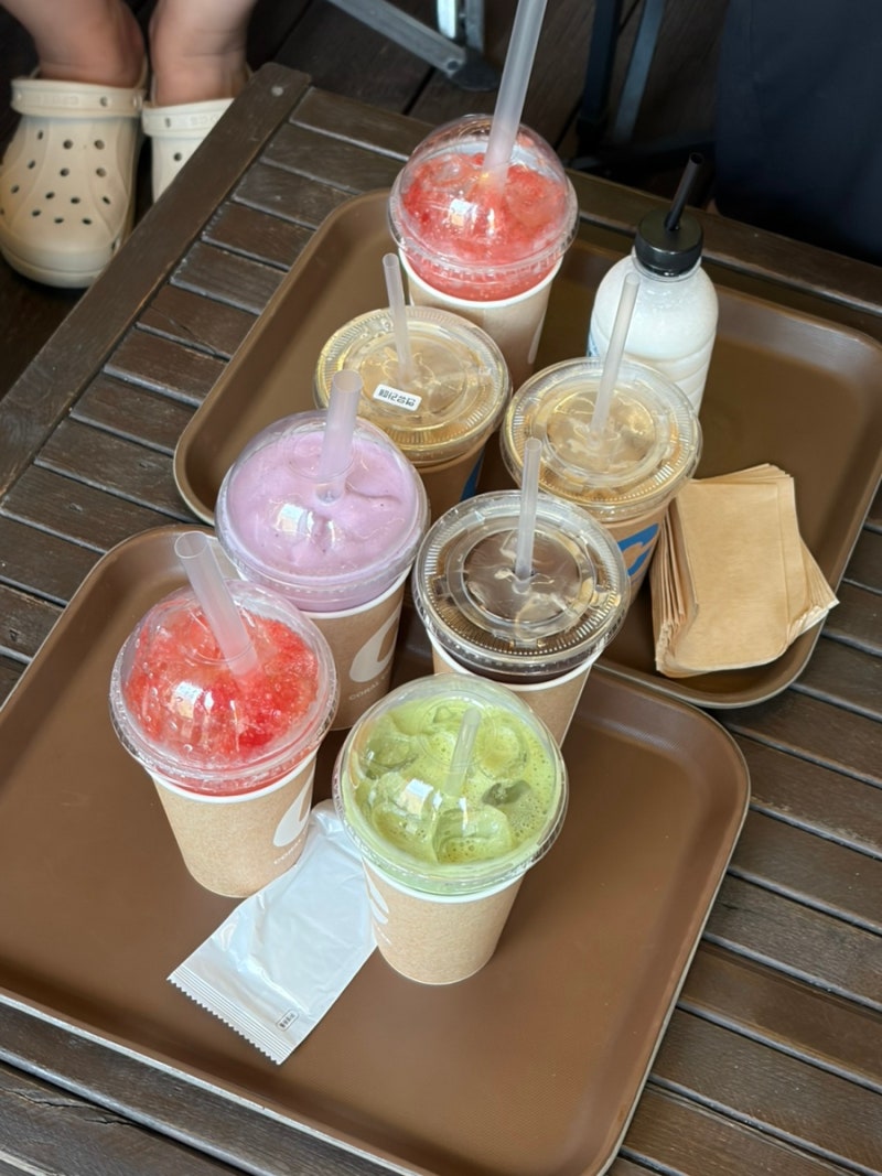 대천해수욕장 카페, 반려동물 동반여행 성지 코랄커피 텐트존 대가족 방문 후기