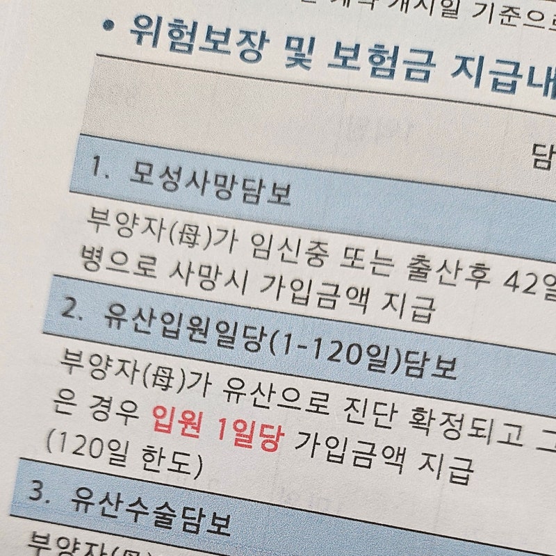 태아보험 비교사이트 순위 어떻게 고를까? 설계사 선택 후기!(산모특약, 마미톡 등)
