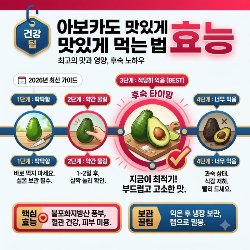 2026년 아보카도 맛있게 먹는 법 효능, 후숙 타이밍과 손질 방법 정리