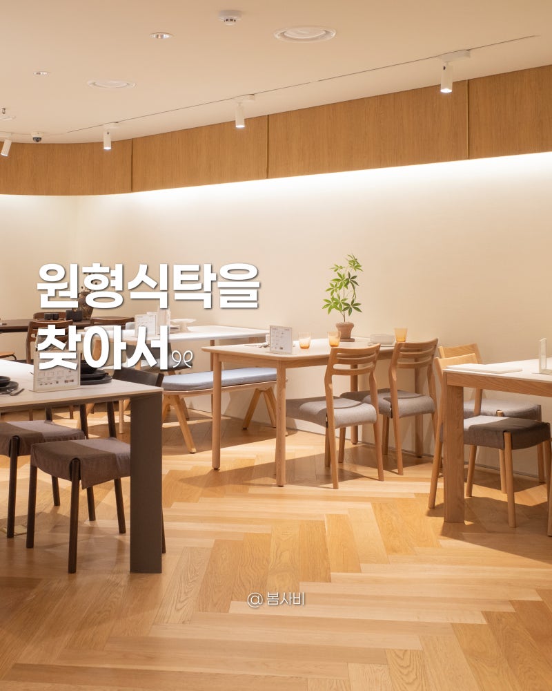 원형식탁을 찾아서 | 일룸 식탁 + 잠실 롯데백화점 가구