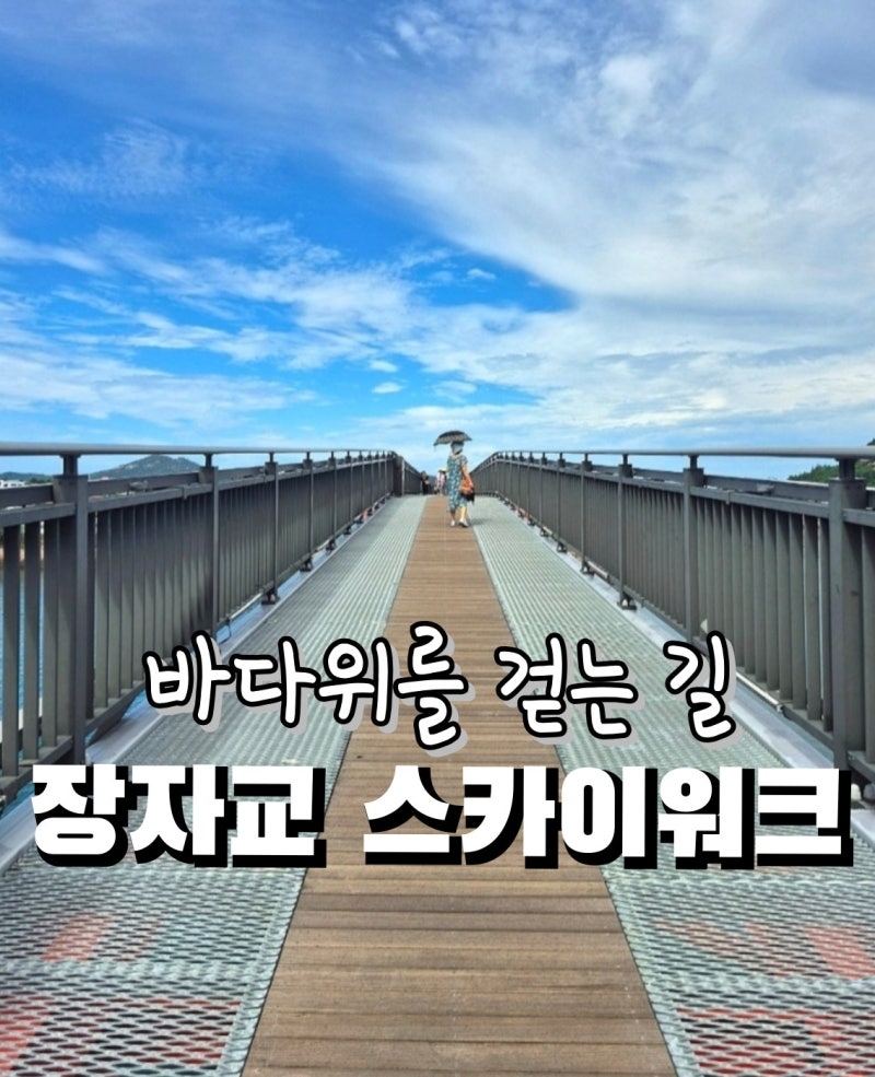 군산 선유도 여행 가볼만한 곳 장자교 스카이워크 무서울까? 무료주차부터 직접 가본 후기