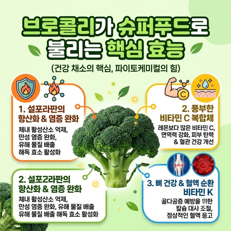 브로콜리 데치기 대신 찌기 영양소 파괴 없는 조리법과 하루 섭취량