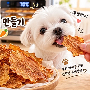 강아지 수제간식 만들기 닭가슴살 야채칩 바삭하게 만드는 법