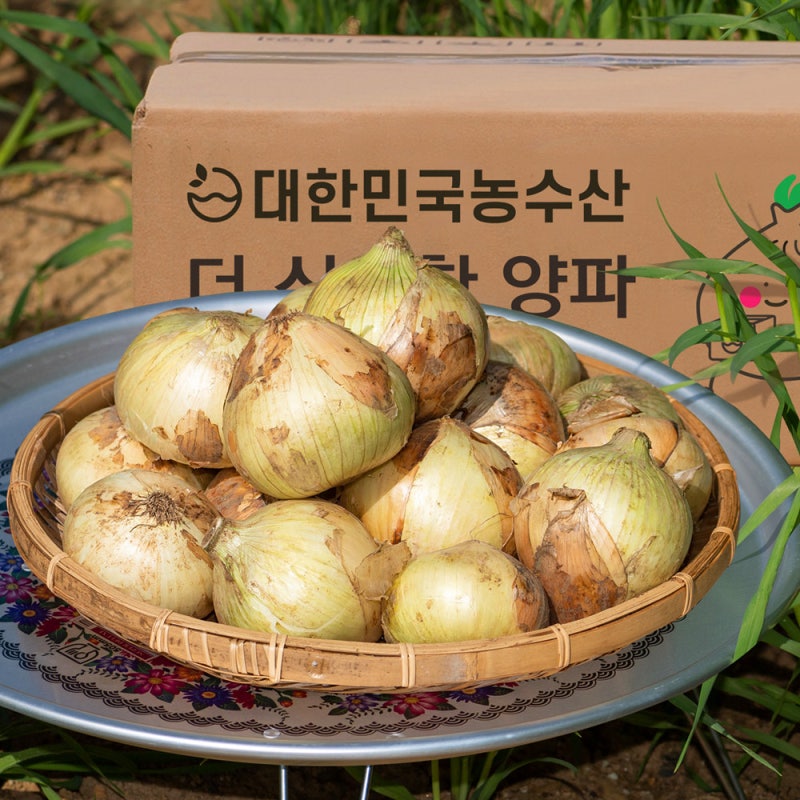 국내산 양파 3kg 5kg 구매 전 중량과 보관법 체크 가이드