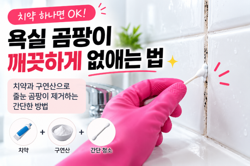 욕실 줄눈 곰팡이 제거 방법｜치약·구연산 조합 효과 있을까? 검은 곰팡이 청소법
